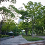 Higashi-Yuenchi Park